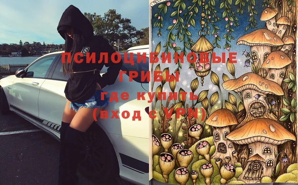 тгк Балахна